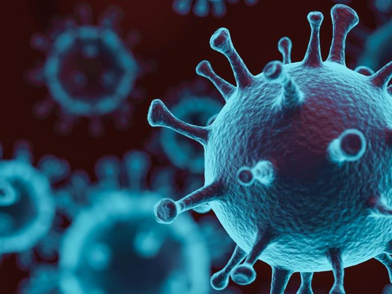 Αντηχήσεις, Echos, Echoes, Ecos, Echi