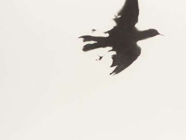 Η ελίτ που «νίπτει τας χείρας της» και ο ιός του ατομικισμού